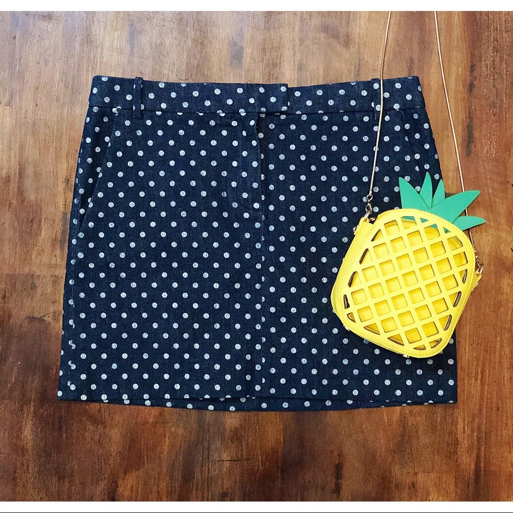 J. Crew Skirt- **NEVER WORN**